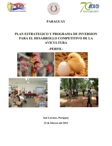 paraguay plan estrategico y programa de inversion para el