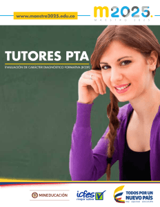 Descripción preliminar de niveles de desempeño Tutores PTA