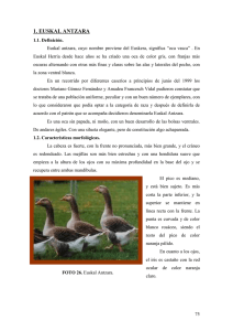 razas aviares - La Anunciata Ikerketa