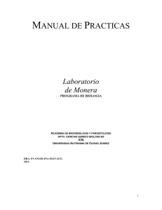 manual de practicas