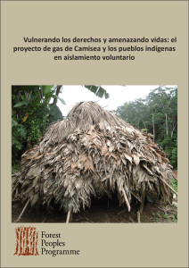 el proyecto de gas de Camisea y los pueblos indígenas en