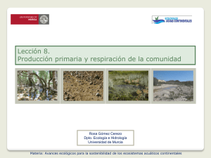 Diapositiva 1 - OCW - Universidad de Murcia