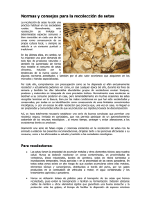 Artículo de Carlos M. Pérez del Amo344 KB 6 páginas