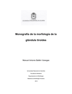 Monografía de la morfología de la glándula tiroides