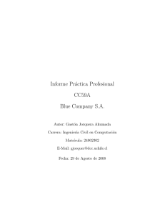 Informe Práctica Profesional CC59A Blue Company S.A.