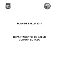 Plan de Salud 2014 - I. Municipalidad de El Tabo