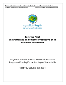 Informe Final Instrumentos de Fomento Productivo en la Provincia
