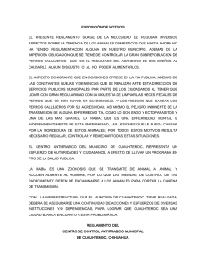 EXPOSICIÓN DE MOTIVOS - municipio de Cuauhtémoc