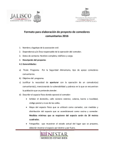 Formato para elaboración de proyecto de comedores comunitarios