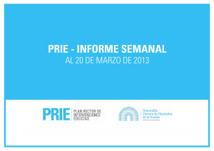 Descargar informe completo PDF al 20/04/2013 - PRIE