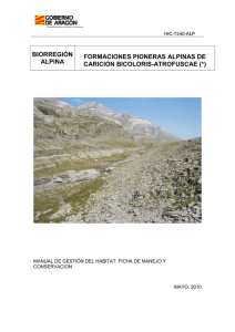 7240* Formaciones pioneras alpinas de Caricion Bicoloris