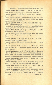 Scleria hirtella Swartz, Prcd. FI. Ind. Occ. (1788), 19.