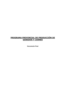 PROGRAMA PROVINCIAL DE PRODUCCIÓN DE GANADOS Y