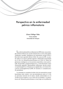 Descargar el archivo PDF - Universidad de Antioquia