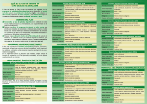 Plan de Deporte en Edad Escolar de Andalucía. Convocatoria 2012