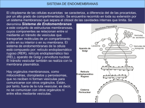 denomina Sistema de Endomembranas