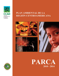Plan Ambiental de la Región Centroamericana . PARCA
