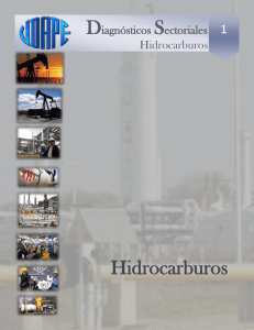 Hidrocarburos - Unidad de Análisis de Políticas Sociales y