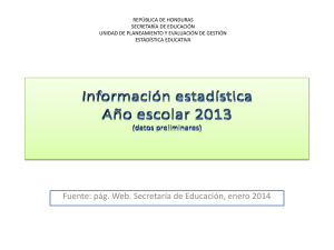 Información estadística Año escolar 2013 (datos preliminares)