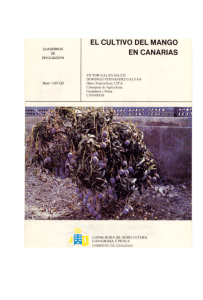 Untitled - Gobierno de Canarias