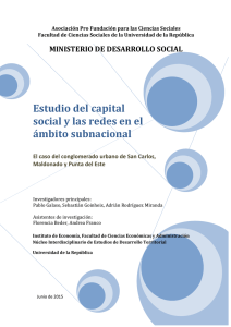Estudio del capital social y las redes en el ámbito subnacional, San