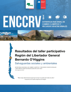 Resultados del taller participativo Región del Libertador General