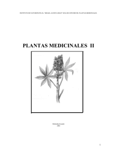 plantas medicinales ii - Instituto Superior Tecnologico de