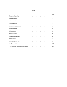 INDICE PAG. Resumen Ejecutivo . . . . . . . . 1 Agradecimientos