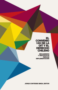 Ver Libro - Proyecto para la Libre Determinaci&oacute;n Ind&iacute;gena