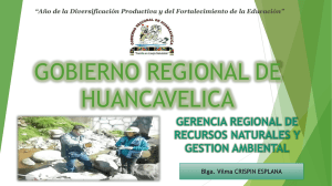 6. Gobierno Regional de Huancavelica