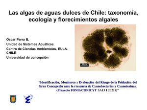 Algas de aguas dulces en Chile