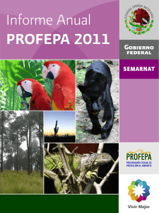 Informe Anual PROFEPA 2011 (5281KBS)