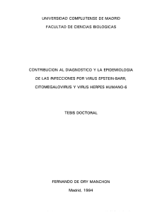 iiI.tiI%1ml~UU11111liiiil~U - Biblioteca Complutense