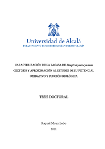 tesis doctoral - Universidad de Alcalá
