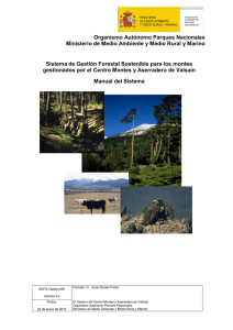 Manual del sistema de gestión forestal sostenible