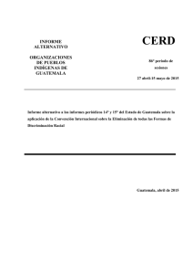 Informe alternativo CERD Guatemala