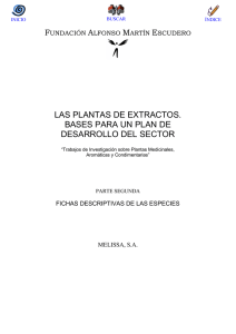 las plantas de extractos. bases para un plan de desarrollo del sector
