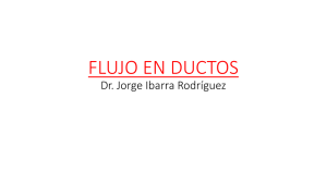 FLUJO EN DUCTOS - Dr Jorge Ibarra