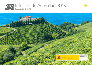 Informe de Actividad 2015