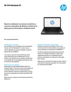 HP 245 Notebook PC
