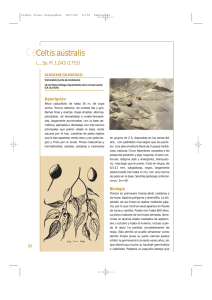 De Celtis australis a Crataegus laciniata
