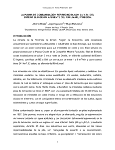 LA PLUMA DE CONTAMINACIN FERRUGINOSA CON Cu Y