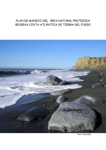 Plan de Manejo Reserva Costa Atlántica Tierra del Fuego