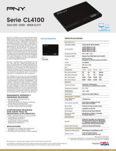 PNY Client SSD CL4111 120GB