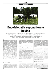 Encefalopatía espongiforme bovina