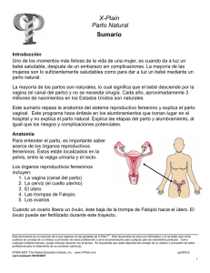 Vaginal Birth (Spanish)