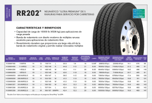 RR202* - Double Coin Tires
