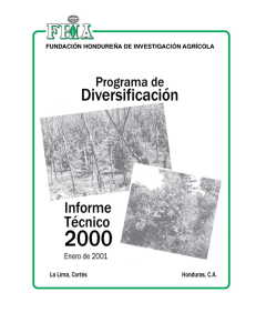 Programa de Diversificación - Fundación Hondureña de