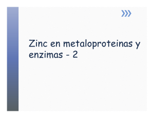 Zinc en metaloproteinas y enzimas