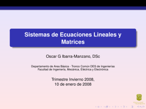 Sistemas de Ecuaciones Lineales y Matrices